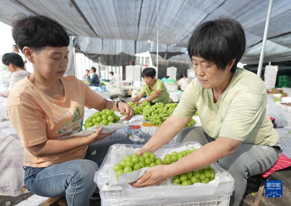 皇冠游戏大平台